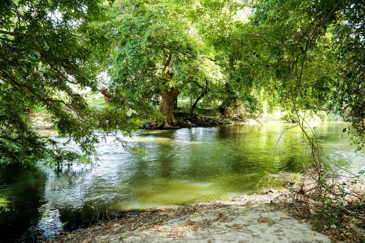 Malwathu Oya Caravan Park Bed & Breakfast Anuradhapura Dış mekan fotoğraf