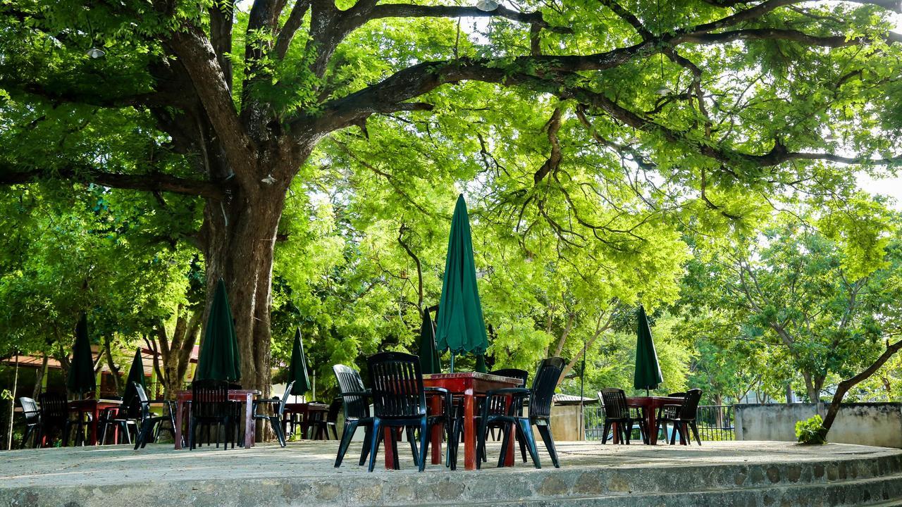 Malwathu Oya Caravan Park Bed & Breakfast Anuradhapura Dış mekan fotoğraf