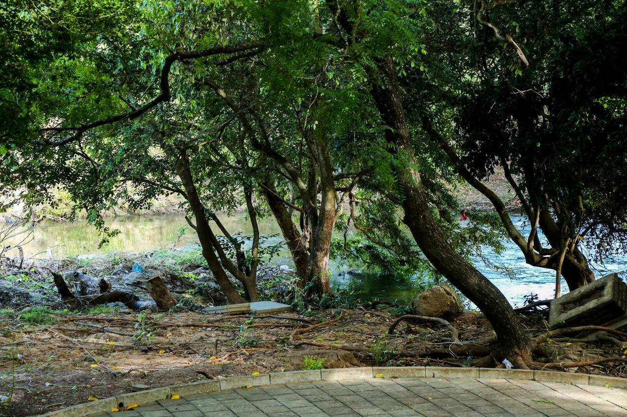 Malwathu Oya Caravan Park Bed & Breakfast Anuradhapura Dış mekan fotoğraf